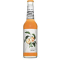 Elephant Bay Peach (Pfirsich) Eistee 20x0,33