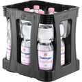 Ensinger NaturQuell still 9x1 PET