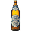 Hochdorfer Helles 20x0,5
